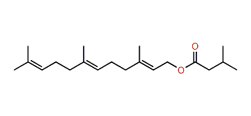 (E,E)-3,7,11-Trimethyl-2,6,10-dodecatrienyl 3-methylbutanoate
